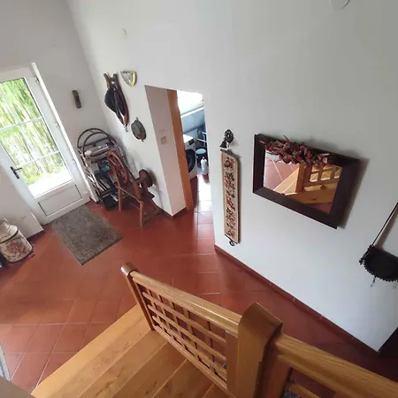 In - Nordtransdanubien 51288 Apartment